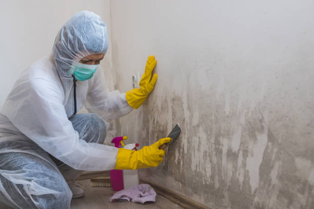 Best Crawl Space Mold Removal  in Gloster, MS