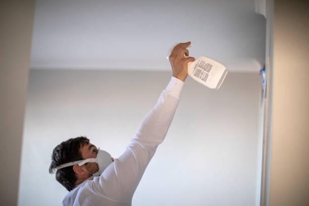Best Mold Cleaning Services  in Gloster, MS