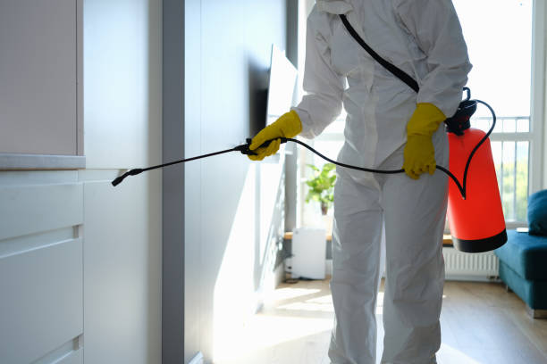 Best Professional Mold Removal  in Gloster, MS