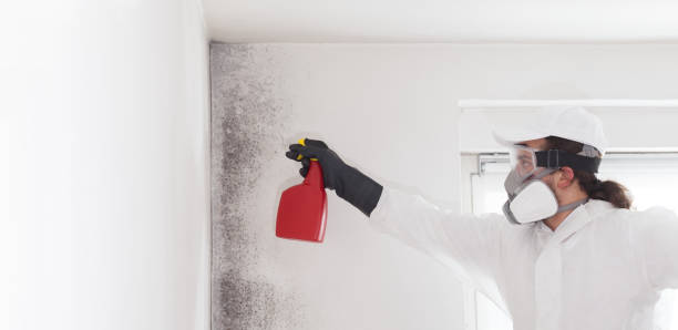 Best Residential Mold Removal  in Gloster, MS