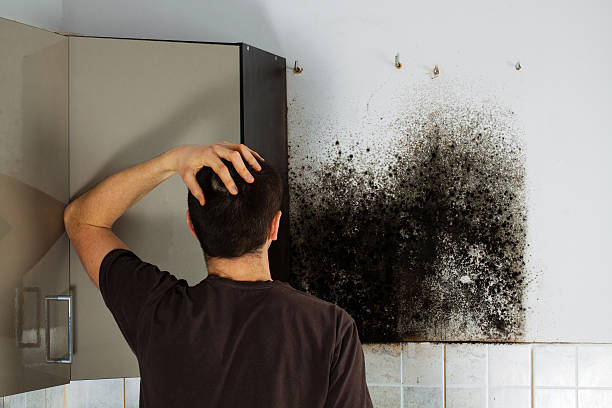 Gloster, MS Mold Removal Company
